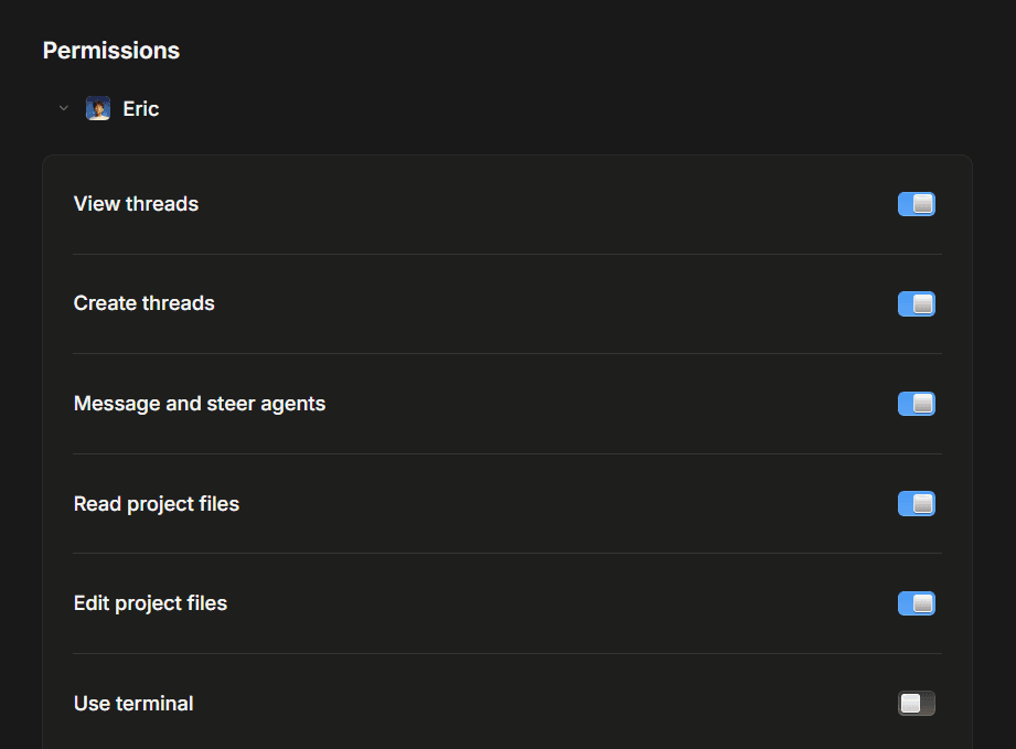 Eric’s project permissions: view and create threads, steer agents, read and edit files, with terminal access disabled.